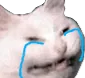 catCry