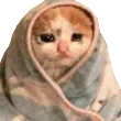 catCryBlanket catCryBlanket