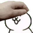 modernpet