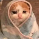 sadcatcomfy Discord Emoji