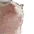 xpvibecat