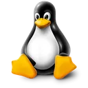 linux