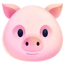 Pig_Face