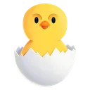 Hatching_Chick