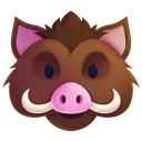 Boar