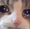 Sad