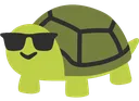 SunglassesTurtle