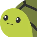 DisapointedTurtle