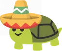 SombreroTurtle