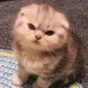 emoji_315