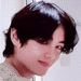 BTSVGlance