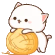 nyaNodd