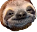 sloth1 sloth1