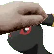 baileypatpat