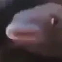 NotPoggers