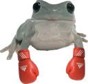 w_fightfrog