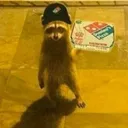 raccoonDelivery