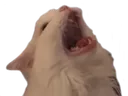 3355_screm Discord Emoji