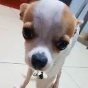 Untitled20210106T191137