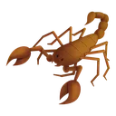 Scorpion