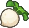 fruit_navet
