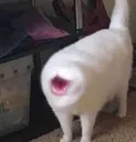 pogcat