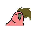 hairflipping_parrot