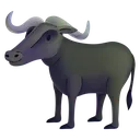 Water_Buffalo