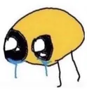 not_pog