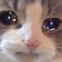hurtcat Discord emoji