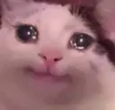y_u_do_dis