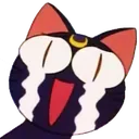 PYR_LunaCry Discord Emoji