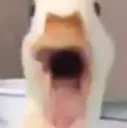qWack