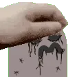 vargpetpet