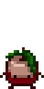 KiwiFront