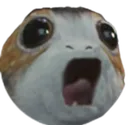 porgchamp