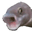 PogFish Discord emoji