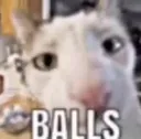 balls