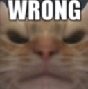catwrong Discord emoji