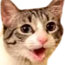 PogCat