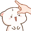 teddy_pokehead
