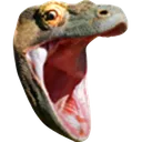komodohype