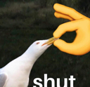 A_shut Discord emoji