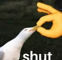 A_shut