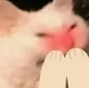 catbLush
