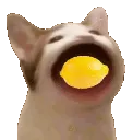 LemonCat