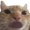 sugoicat Discord emoji