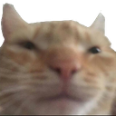 doubt Discord emoji