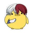 tododucky