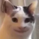 cat_smile